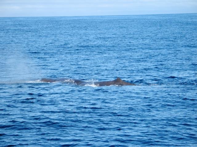 Urlaub in Norwegen 2006